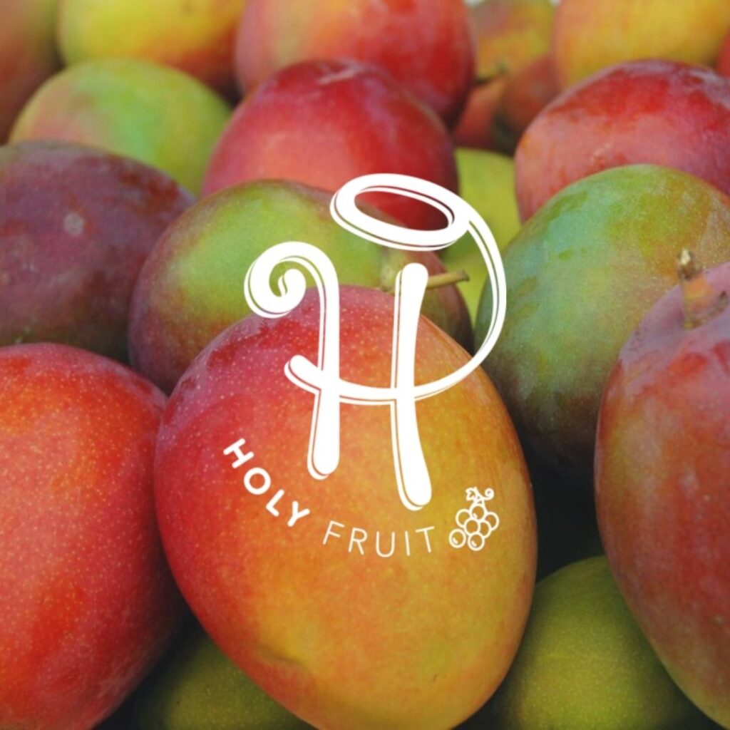 dried mango fruits peruvian